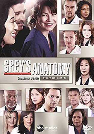 Grey's Anatomy - Stagione 10 6DVD