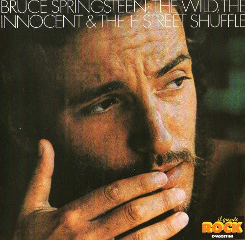 The Wild The Innocent And The E Street Shuffle