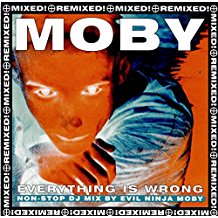 Everything Is Wrong Dj Mix Album