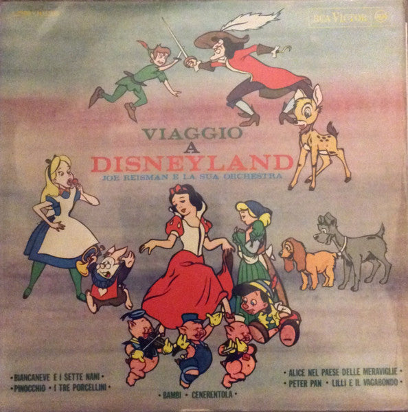 Viaggio a Disneyland