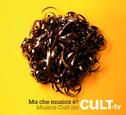 Ma Che Musica È? Musica Cult Da Cult Tv