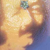 A Picture Of Nectar