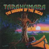 The Shadow Of The Incas