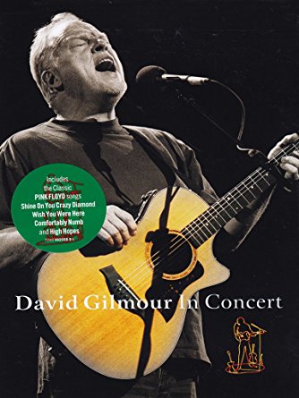 David Gilmour - David Gilmour In Concert