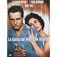 La Gatta Sul Tetto Che Scotta
