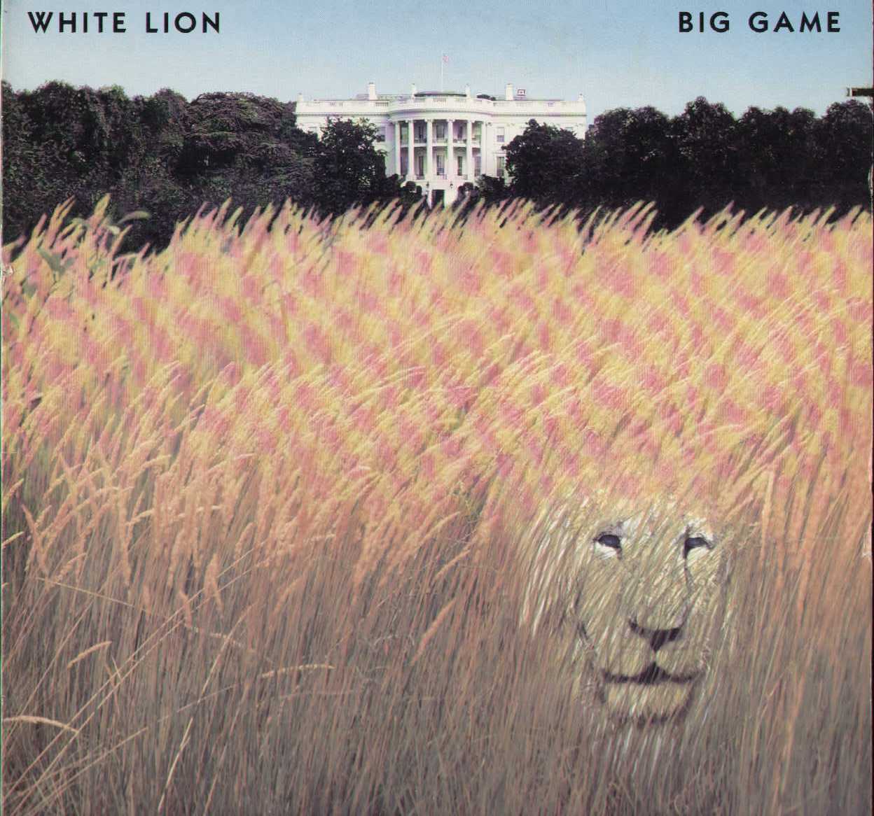 Big Game