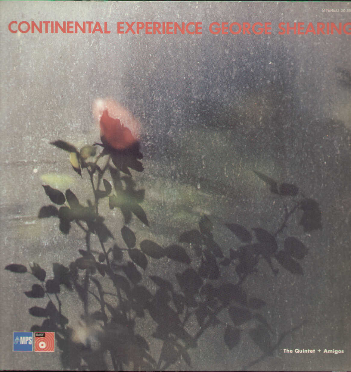 Continental Experience