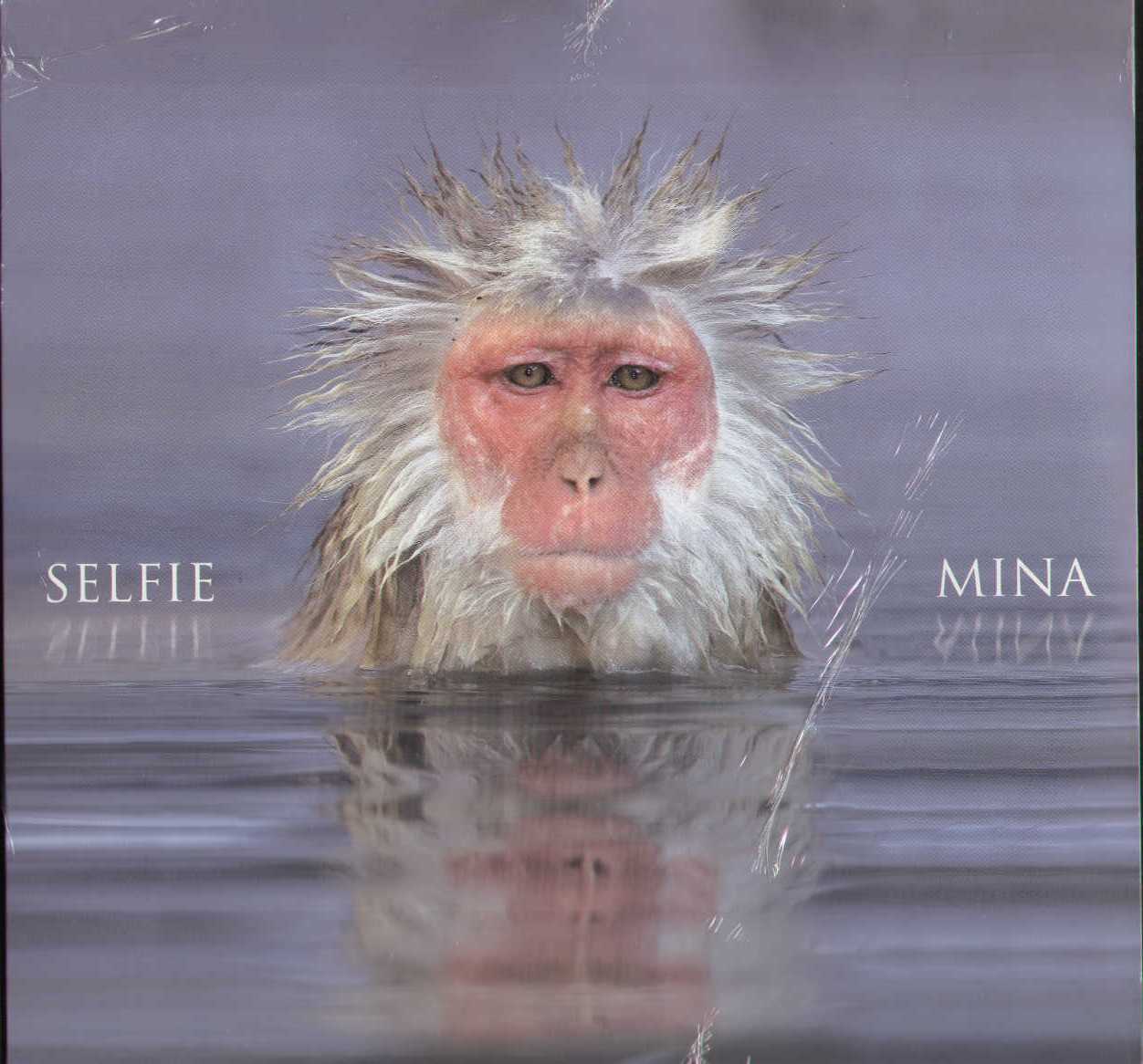 Selfie Limited Edition