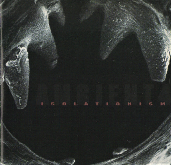 Ambient 4 Isolationism