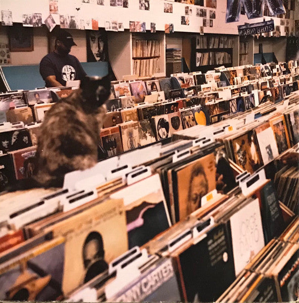 Endtroducing.....