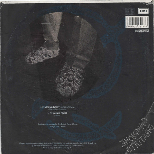 Learning To Fly / Terminal Frost