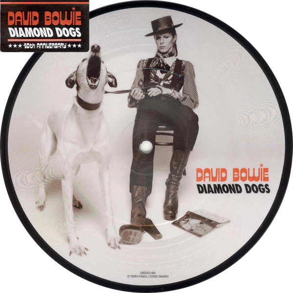 Diamond Dogs Limited Edition Picutre Disc