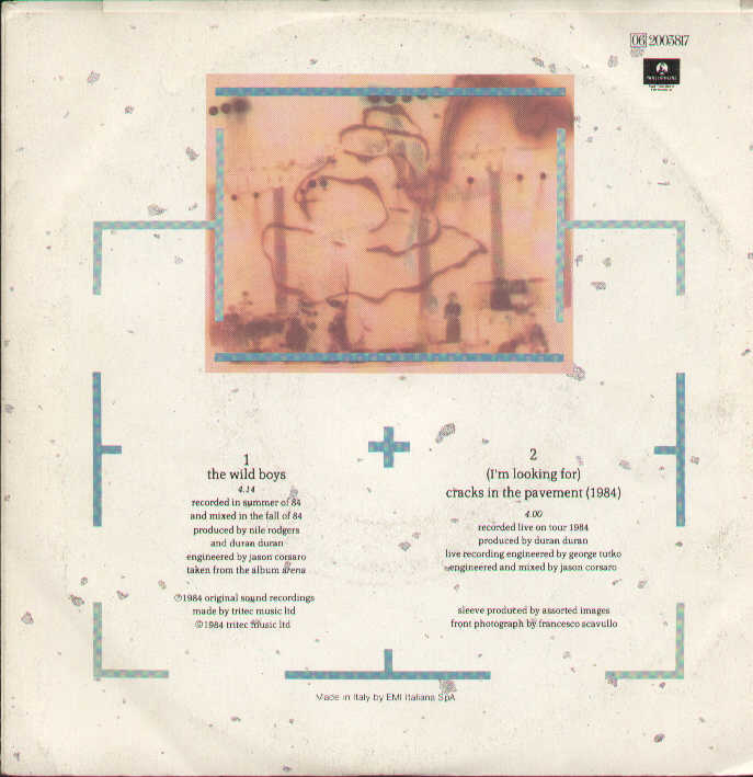 The Wild Boys / I'm Looking For Cracks In The Pavement