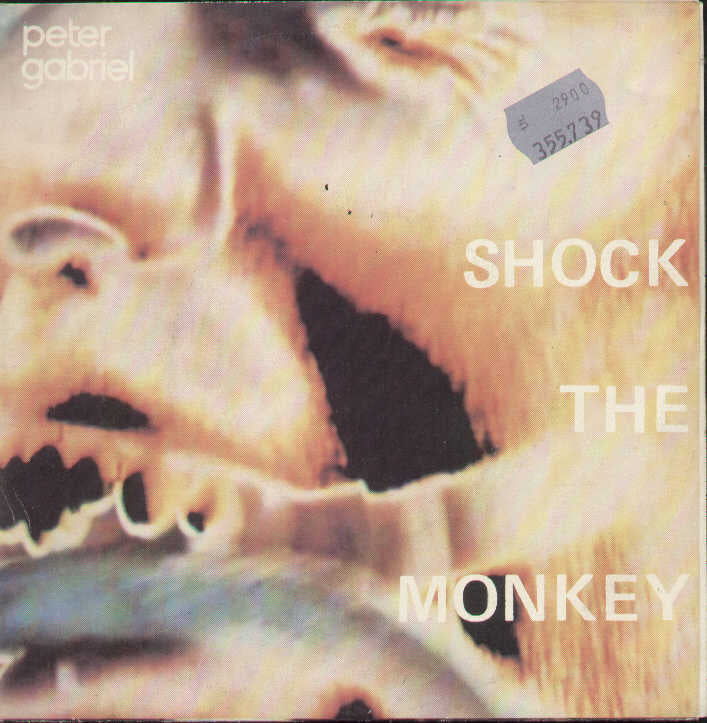 Shock The Monkey