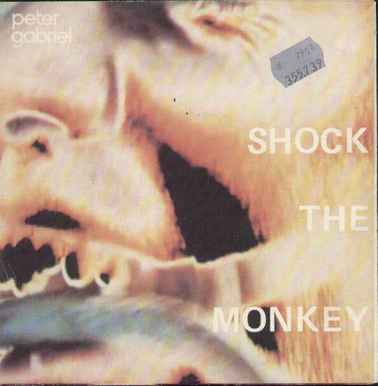 Shock The Monkey