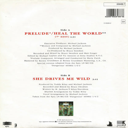 Heal The World / She Drives Me Wild Special Poster Bag