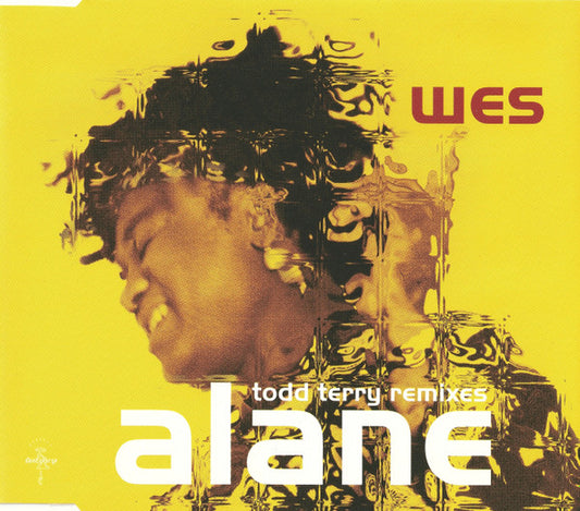 Alane Todd Terry Remixes