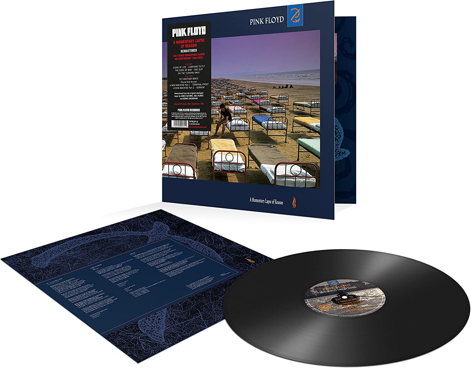 A Momentary Lapse Of Reason