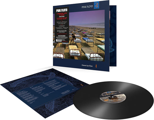 A Momentary Lapse Of Reason