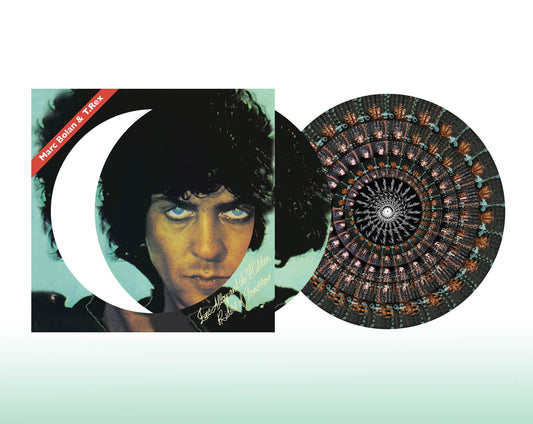 Zinc Alloy And The Hidden Riders Of Tomorrow RSD Picture