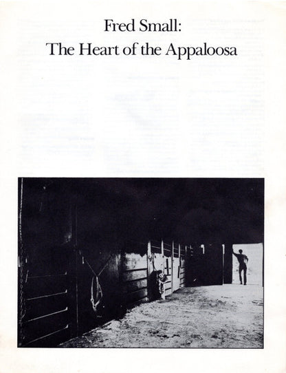 The Heart Of The Appaloosa