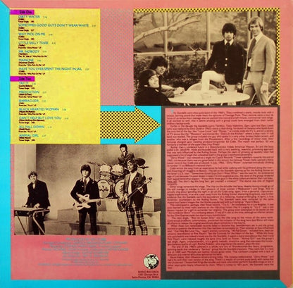 The Best Of The Standells