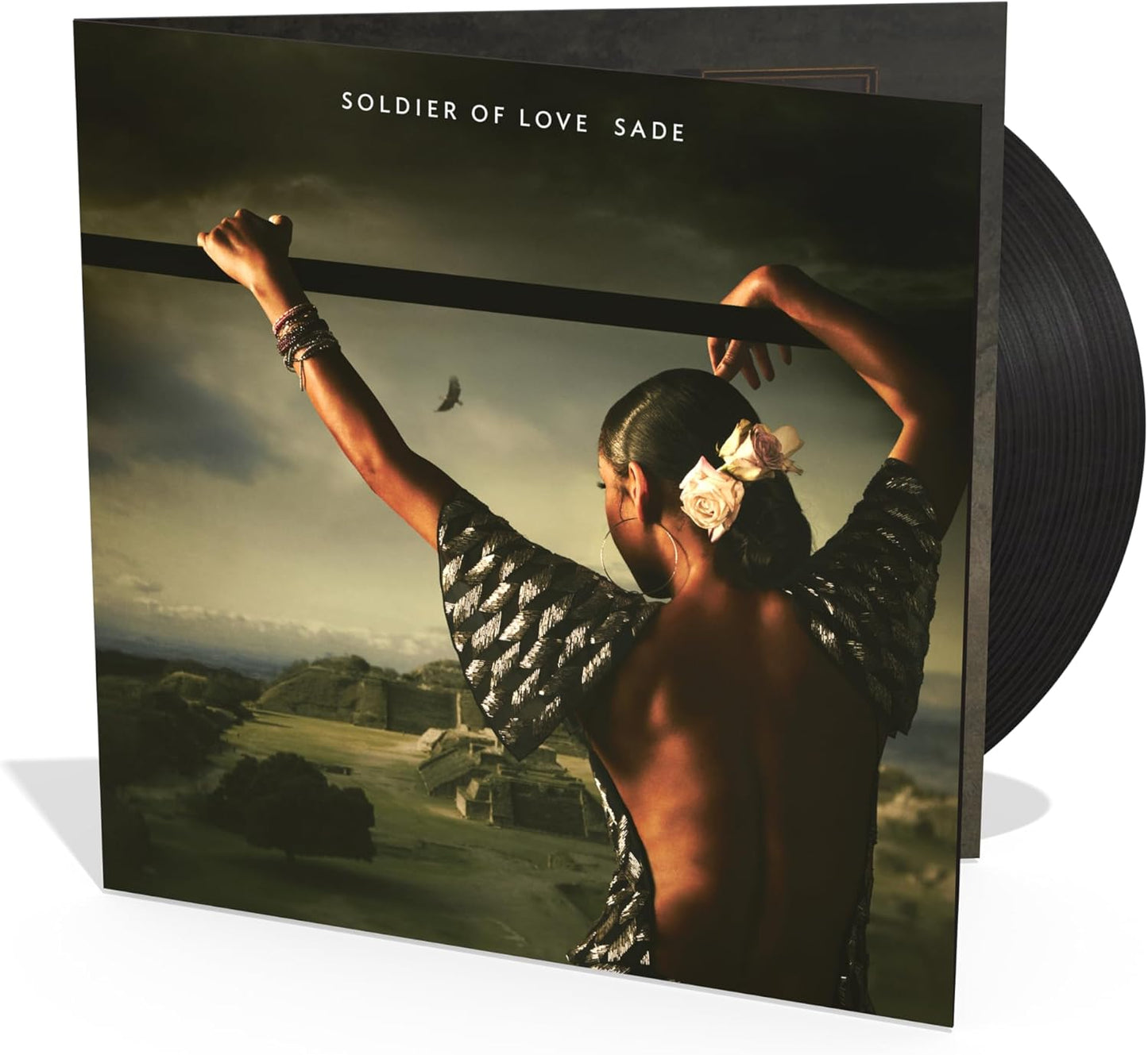 Soldier Of Love