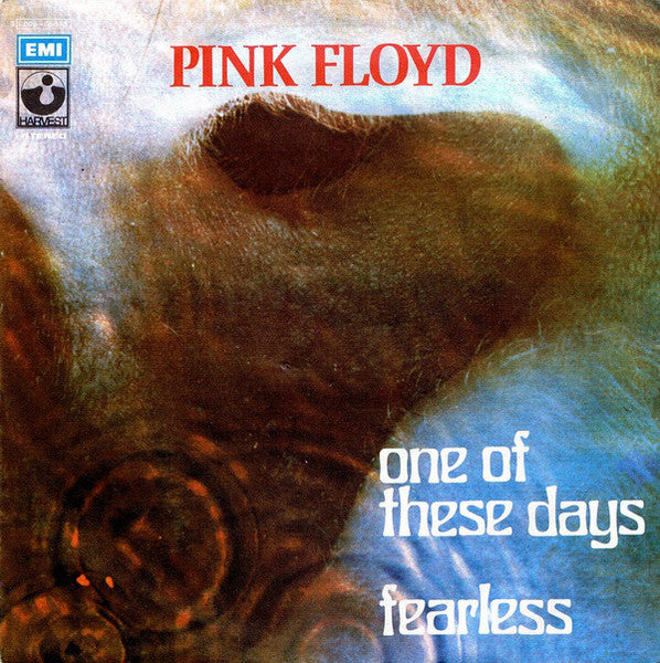 One Of These Days / Fearless