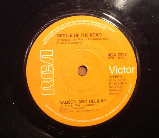 Samson And Delilah / Try A Little Understanding