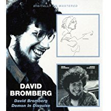 David Bromberg / Demon In Disguise