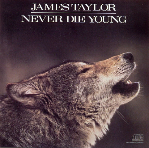 Never Die Young