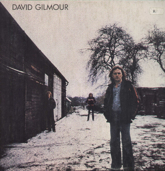 David Gilmour 3C06460774