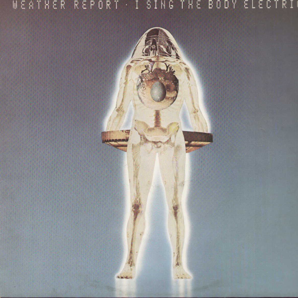 I Sing The Body Electric