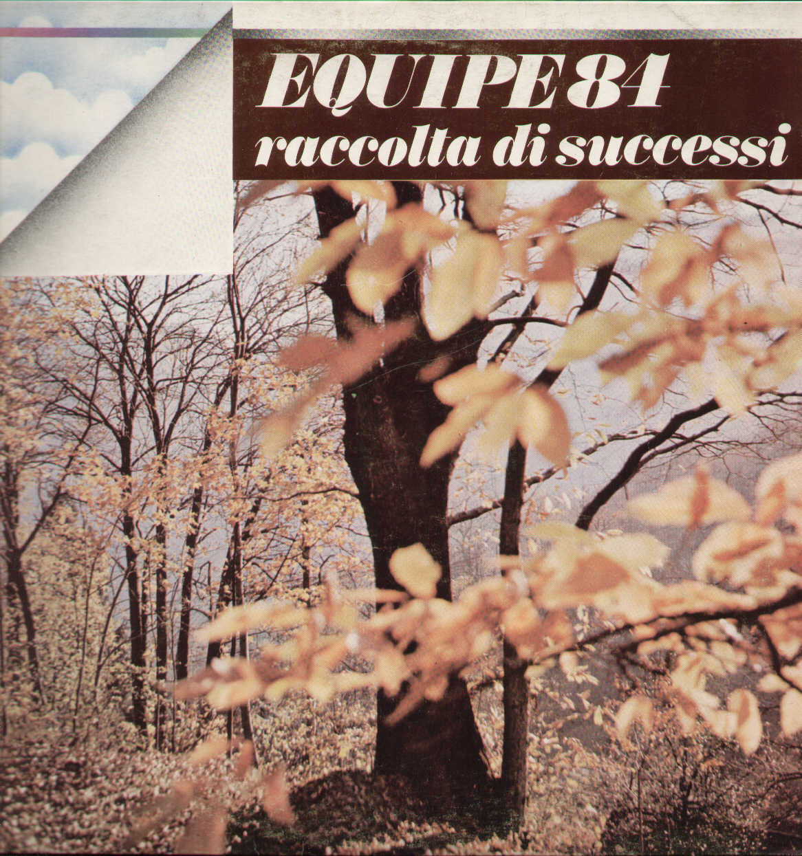 Raccolta Di Successi
