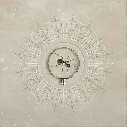 Brighten Limited Edition,