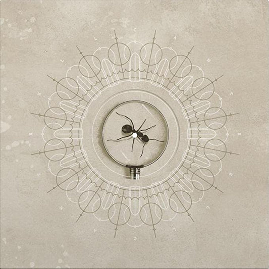 Brighten Limited Edition,