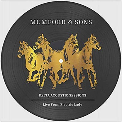 Delta Acoustic Sessions Picture Disc Rsd