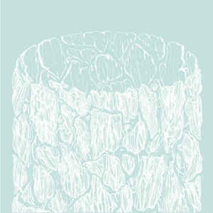 Corteccia