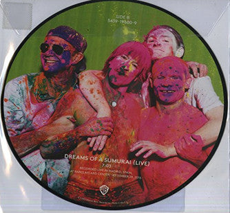 Go Robot Rsd 2017 Picture Disc
