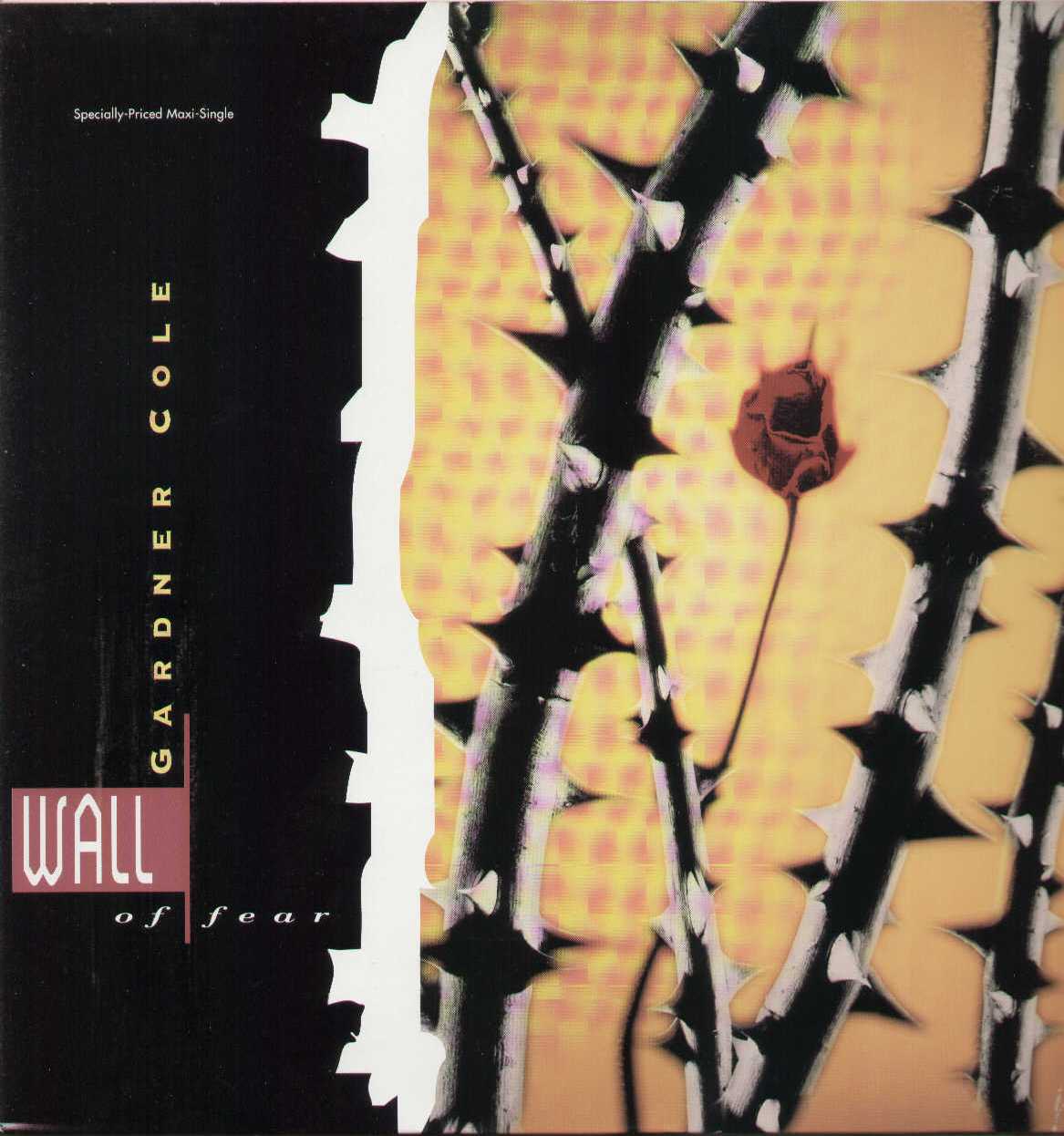 Wall Of Fear