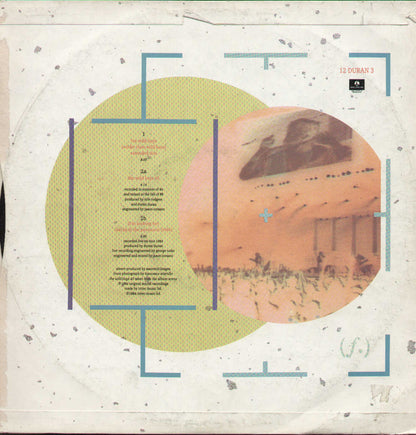 The Wild Boys / I'm Looking For Cracks In The Pavement