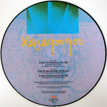 Turn Your Back On Me Picture Disc