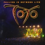 Falling In Between Live