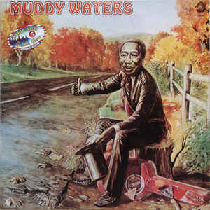 Muddy Waters 427005