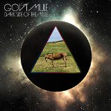 Dark Side Of The Mule