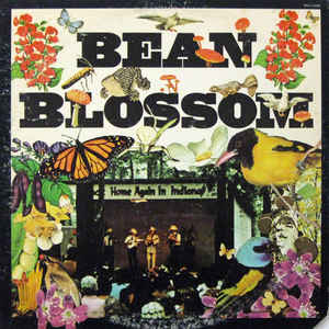 Bean Blossom