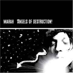 Angels Of Destruction