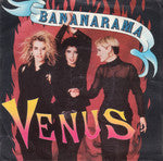 Venus / White Train