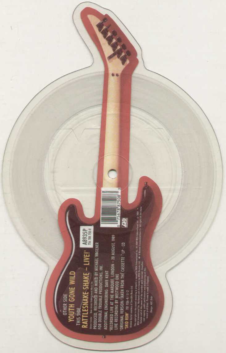 Youth Gone Wild Limited Edition Picture Disc Shape