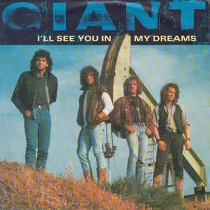 Ill See You In My Dreams / Stranger To Me